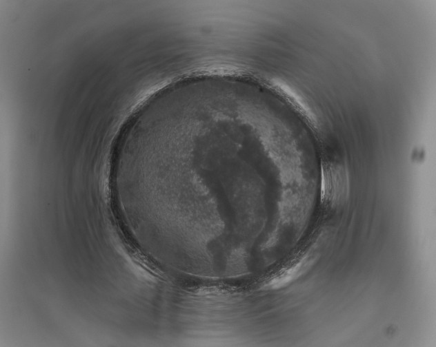 X0000094440627200711081249