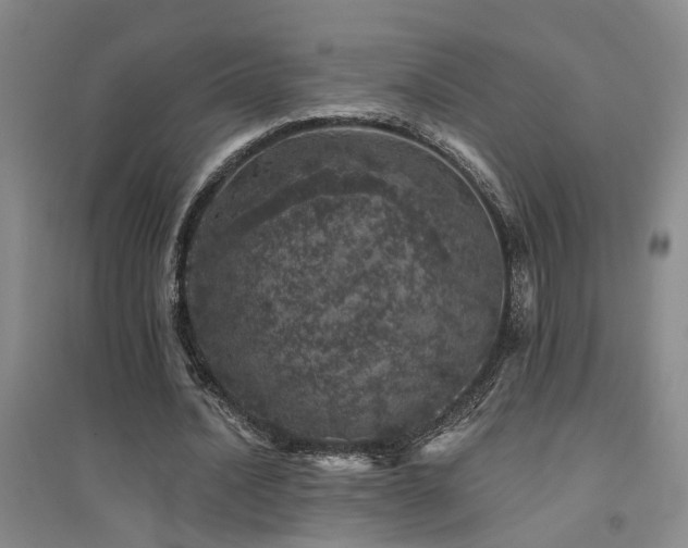 X0000094440628200711081249