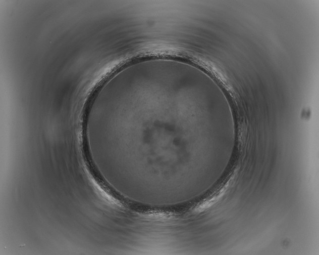 X0000094440629200711081249