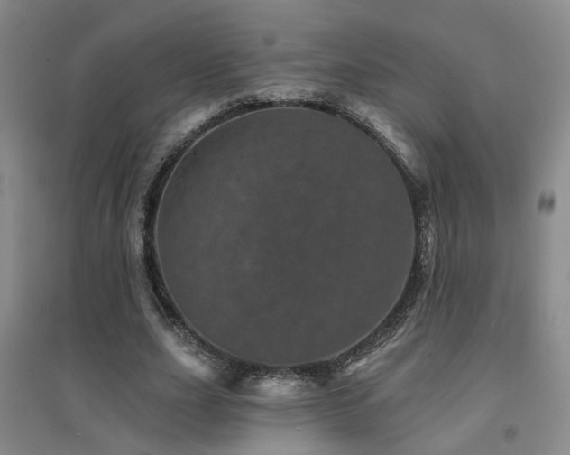X0000094440631200711081249
