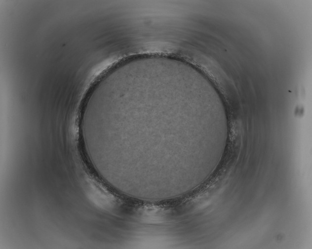 X0000094440632200711081249