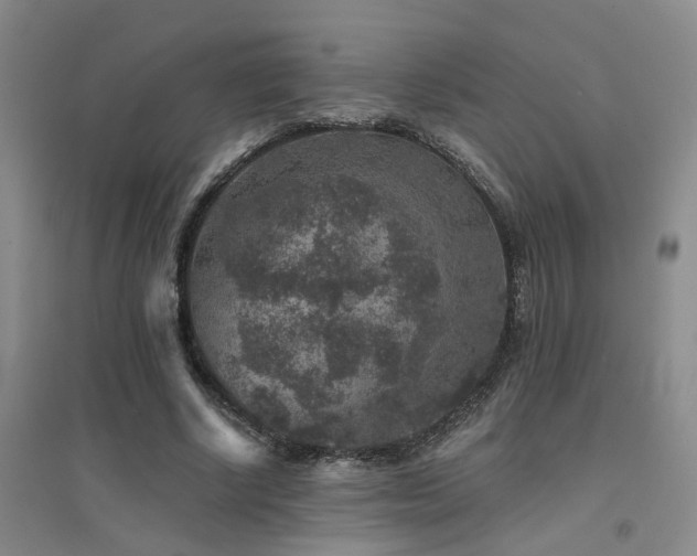 X0000094440634200711081249