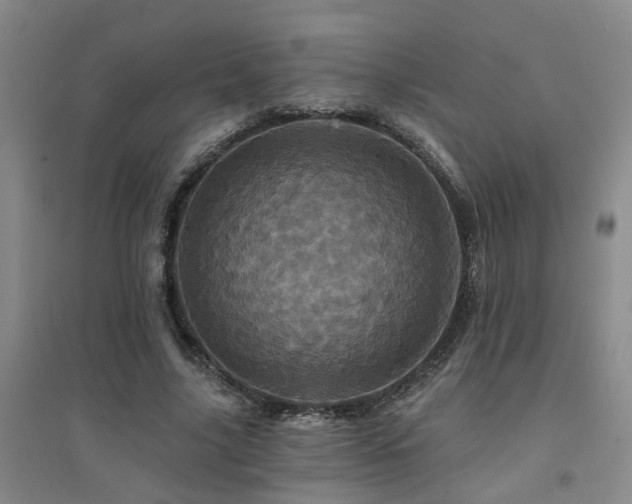 X0000094440635200711081249