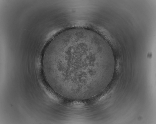 X0000094440636200711081249