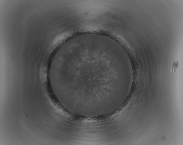 X0000094440640200711081249