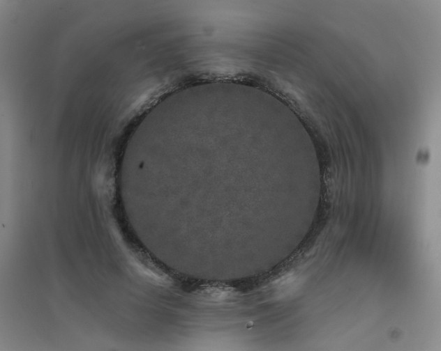 X0000094440642200711081249