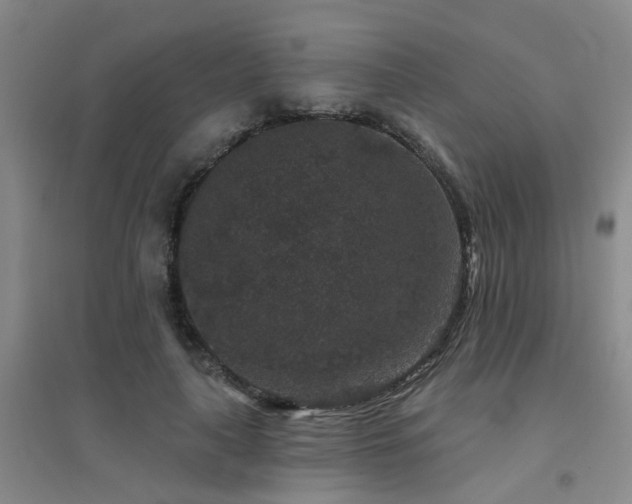 X0000094440643200711081250
