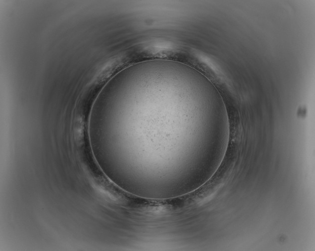X0000094440646200711081250
