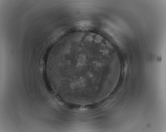 X0000094440647200711081250