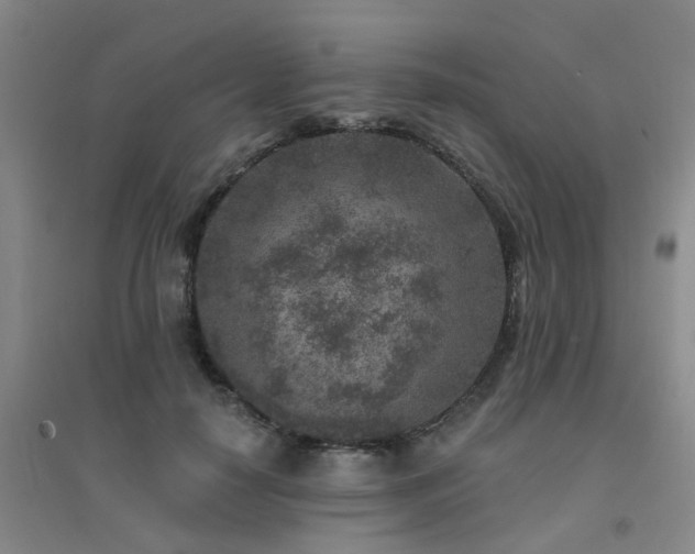 X0000094440650200711081250