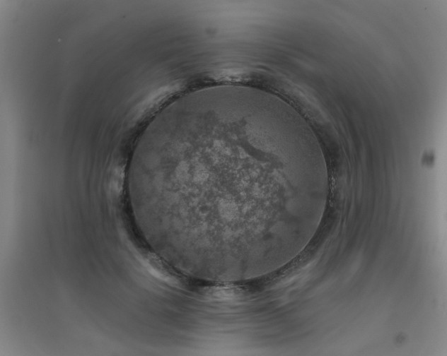 X0000094440652200711081250