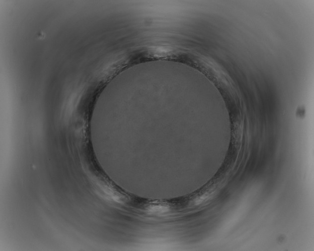 X0000094440653200711081250