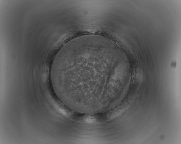 X0000094440656200711081250