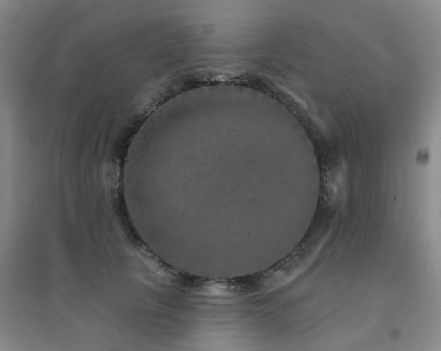 X0000094440657200711081250