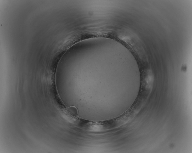 X0000094440658200711081250