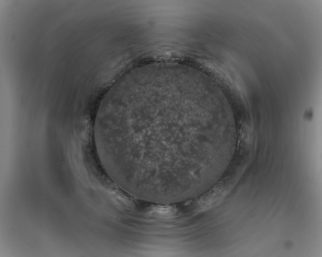 X0000094440659200711081250