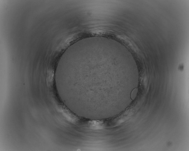 X0000094440660200711081250