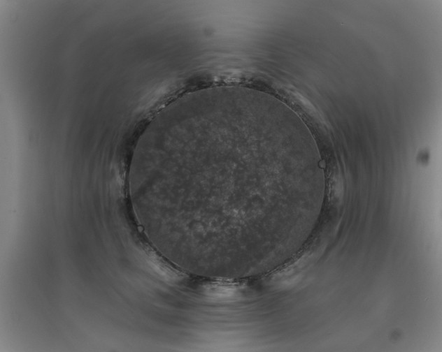 X0000094440661200711081250