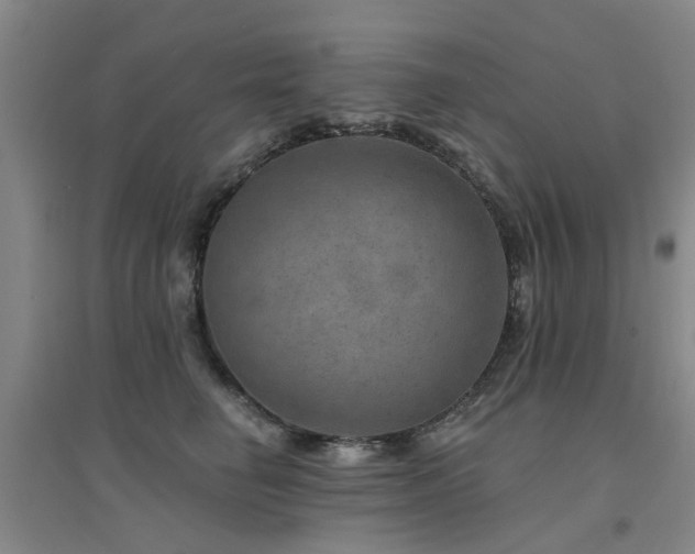 X0000094440662200711081250