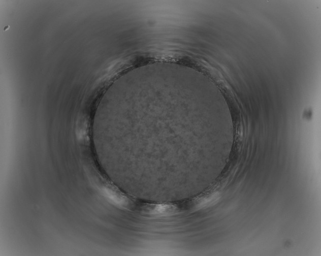 X0000094440663200711081250