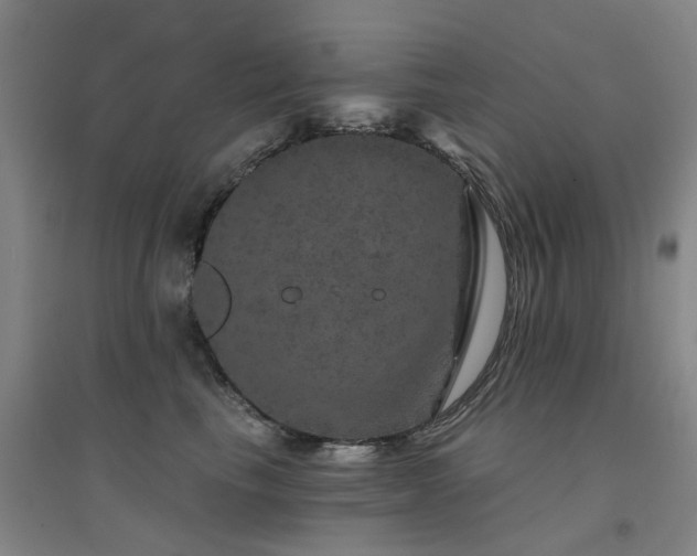 X0000094440665200711081250