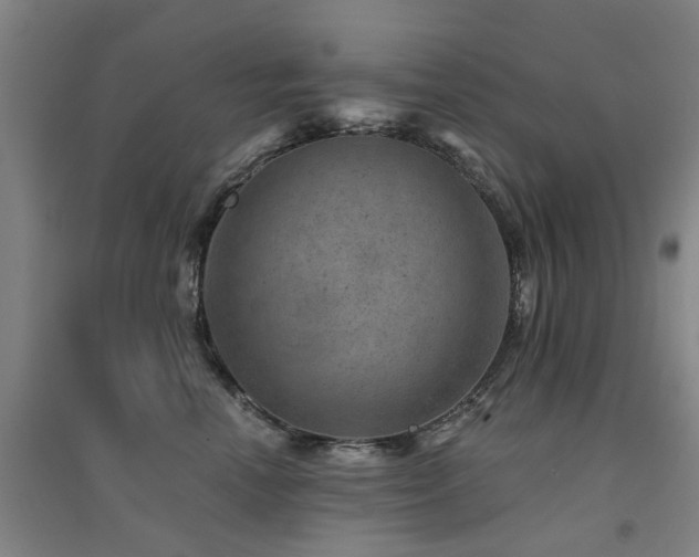 X0000094440666200711081250