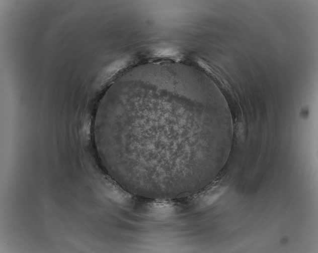 X0000094440668200711081250