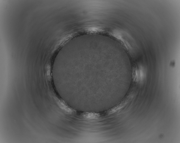 X0000094440670200711081250