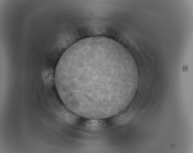 X0000094440672200711081250