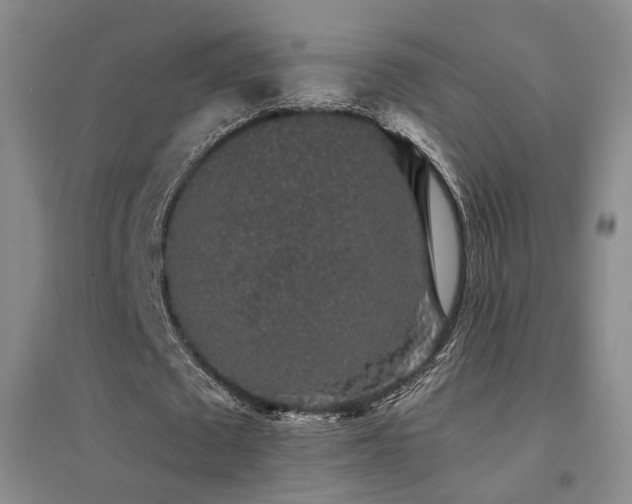 X0000094440673200711081249