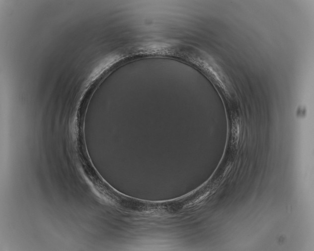 X0000094440674200711081249