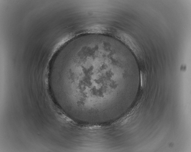 X0000094440675200711081249
