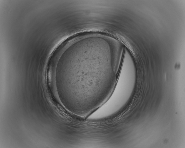 X0000094440676200711081249