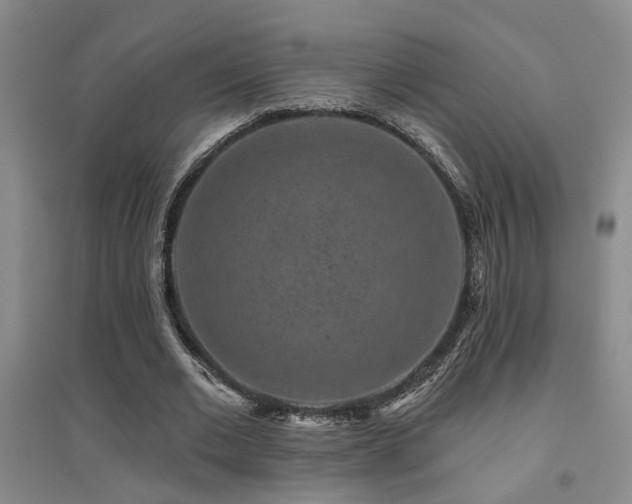X0000094440677200711081249