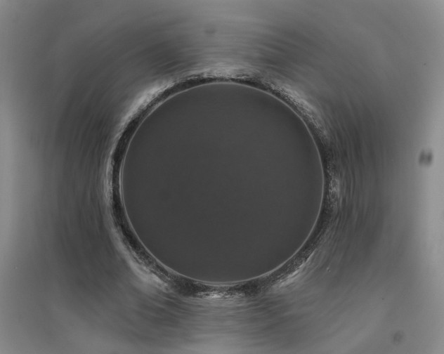 X0000094440678200711081249