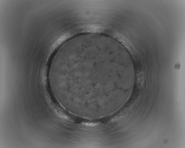 X0000094440679200711081249