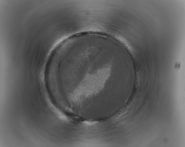 X0000094440680200711081249