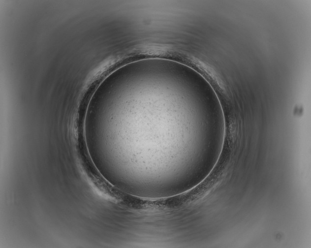 X0000094440682200711081249