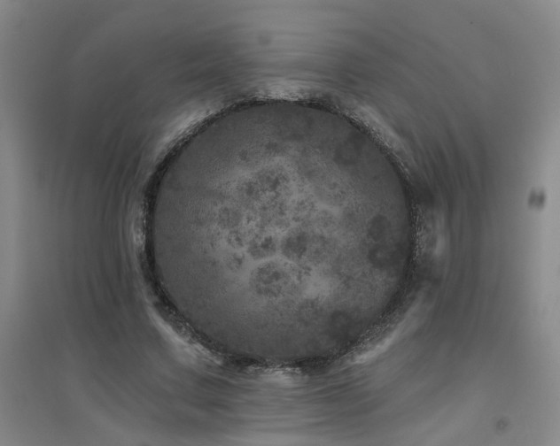 X0000094440683200711081249