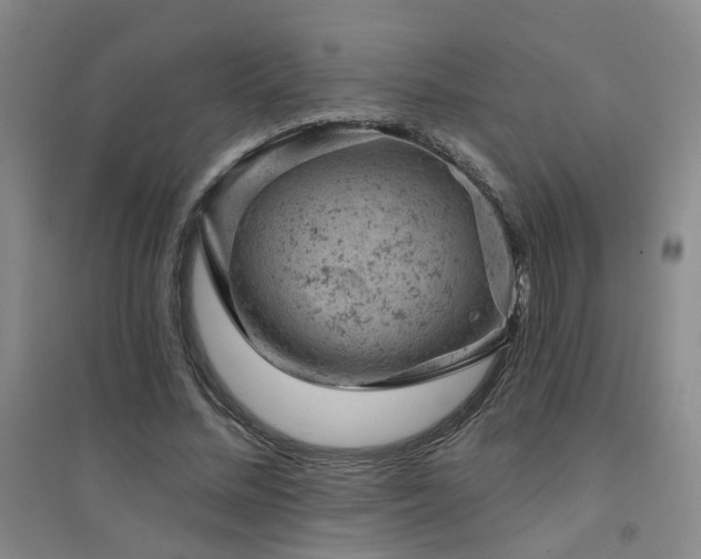 X0000094440684200711081249