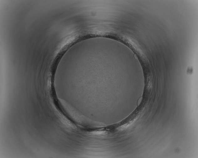 X0000094440685200711081249