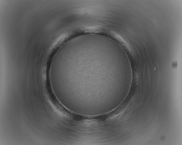 X0000094440686200711081249