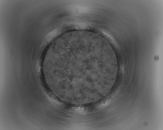 X0000094440687200711081249