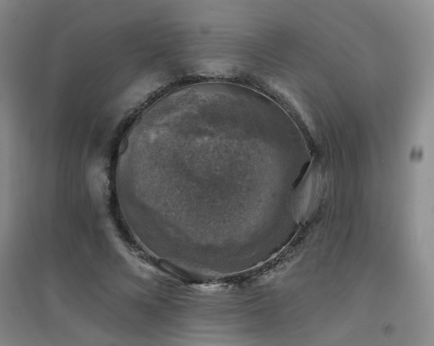X0000094440688200711081249
