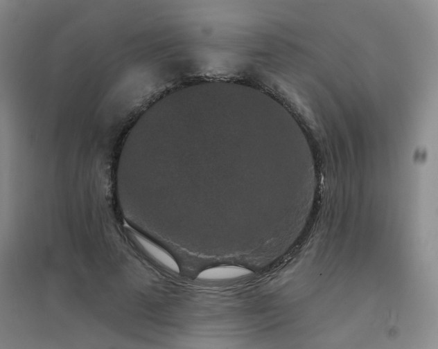 X0000094440689200711081249