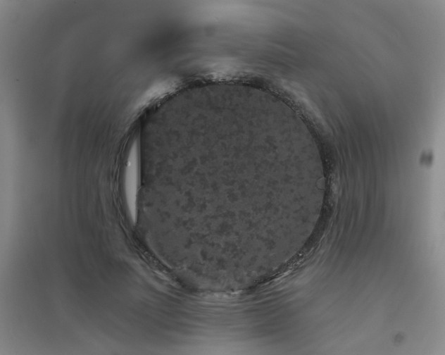 X0000094440691200711081249