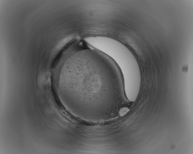X0000094440692200711081249