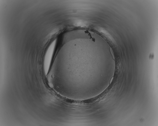 X0000094440693200711081249