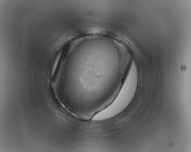 X0000094440696200711081249