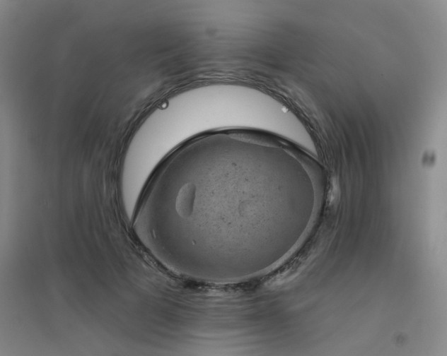 X0000094440697200711081249